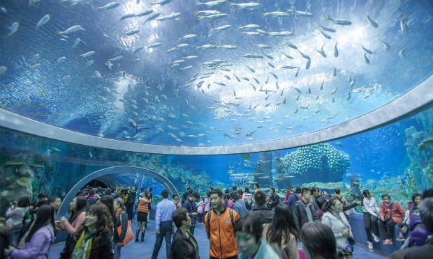 Além do gigante aquário, Chimelong Ocean Kingdom abriga um complexo de 130 hectares com atrações e hotéis.  / Foto: Divulgação/ Guinness World Records