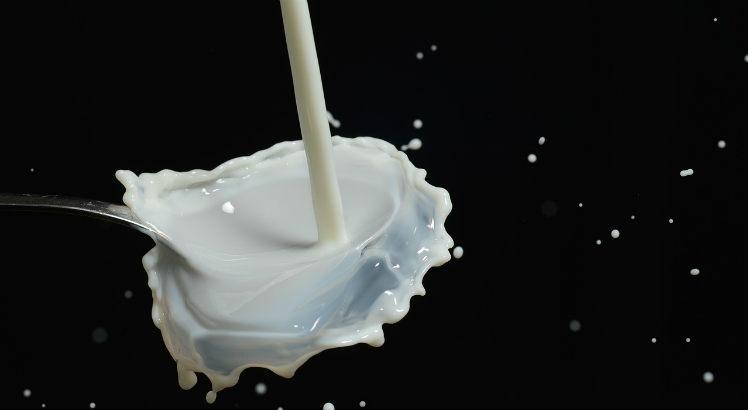 Alimentos com mais de 100 miligramas de lactose para cada 100 gramas ou mililitros do produto devem indicar no rótulo (Foto ilustrativa: Pixabay)