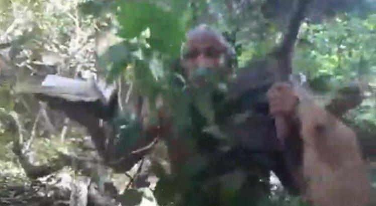 Vídeo: camuflado entre folhas e Bíblia e segurando em tronco, deputado evangélico sai às ruas para caçar Lázaro, o 'serial killer' de Brasília