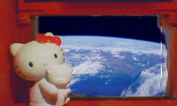 Gatinha está sentada junto a uma janela do satélite, de onde vê a Terra passar / Foto: AFP