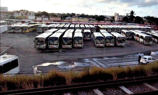 Na garagem da empresa Borborema, em Porta Larga, grande número de ônibus estacionados. / Foto: Elvis de Lima / NE10