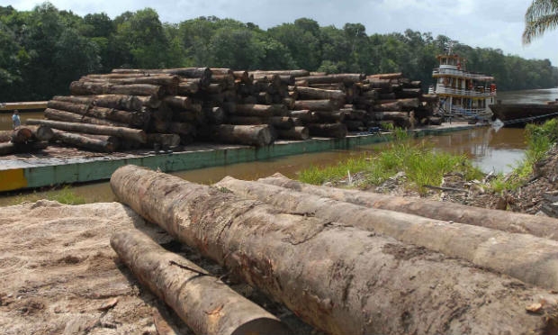 Manter clima exigirá resgate da Amazônia