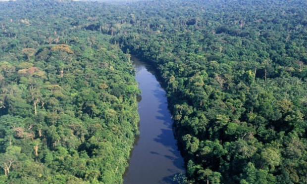  Projeto mapeia o uso das áreas desmatadas na Amazônia / Foto: AFP