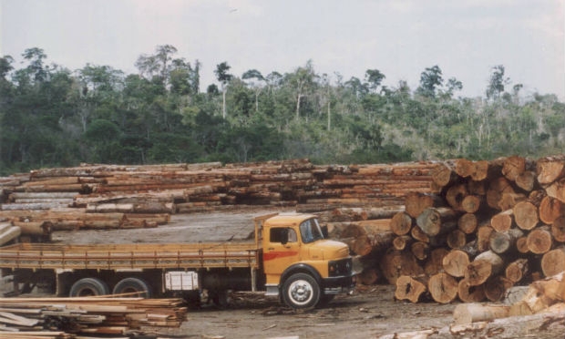 Segundo o Projeto de Monitoramento do Desmatamento na Amazônia Legal (Prodes), a área onde houve remoção completa da cobertura vegetal passou de 5.891 km para 4.848 km / Foto: Reprodução