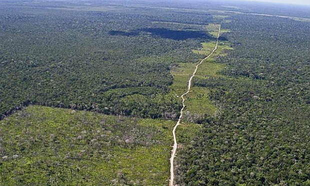 Serão destinados 2,5 milhões de hectares para os estados do Acre, Amazonas, Pará, de Rondônia e do Tocantins / Foto: Agência Brasil