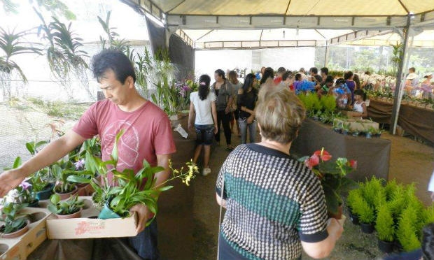 Mais de 10 mil orquídeas colorem o Parque Dona Lindu a partir desta sexta