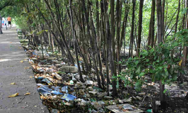 Programação propõe que pais e moradores retirem o lixo das áreas de manguezal / Foto: Mayara Araújo/Cortesia