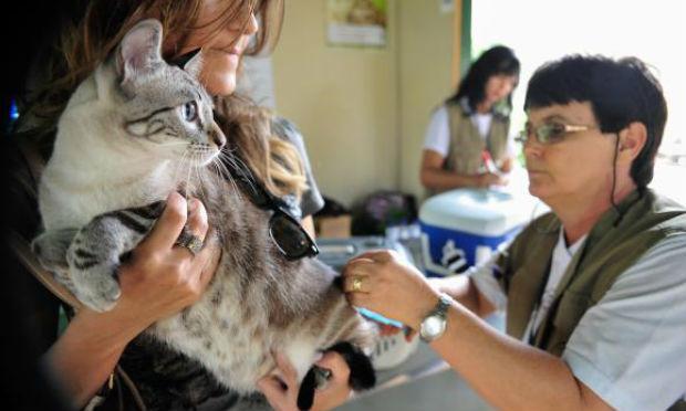 Pet shops terão de manter veterinário para inspeções diárias