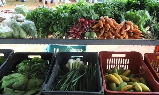 Legumes e verduras subiram 7,2% neste ano na Ceagesp