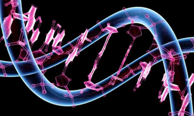Estruturação do genoma ajuda a explicar por que alguns genes tê influência no funcionamento uns dos outros / Foto: reprodução
