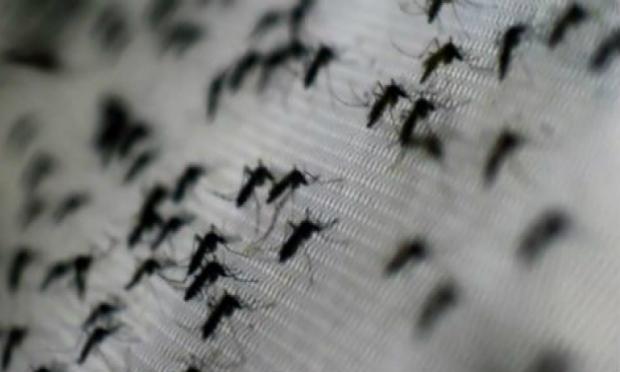 Ministério da Saúde lança Plano de Eliminação da Malária no Brasil