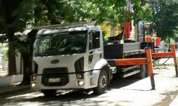 Moradores das Graças denunciam corte de árvores na Rua Gervásio Fioravante