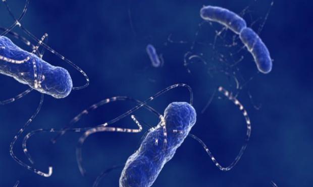 Cientistas descobrem mutação que torna bactérias imbatíveis por antibióticos