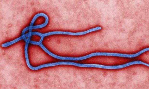Adolescente morre de Ebola na Libéria