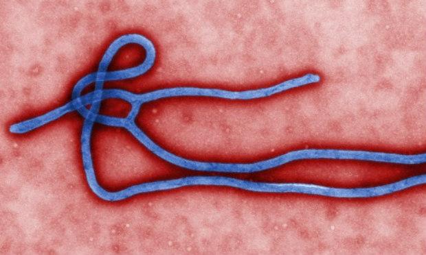 A epidemia de ebola na África ocidental, a mais grave desde que o vírus foi identificado na África central em 1976, começou na Guiné no final de 2013 / Foto: AFP