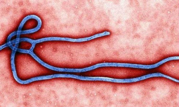 Um dia depois da OMS declarar o fim da epidemia, ebola volta a matar na África