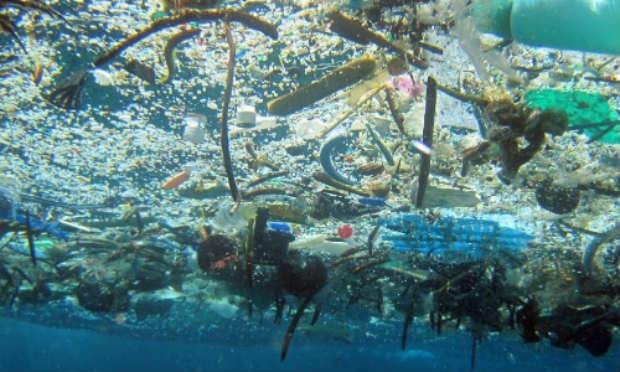 Oceanos terão mais plásticos do que peixes em 2050