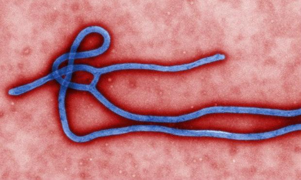 OMS confirma segundo caso de ebola em Serra Leoa em menos de uma semana