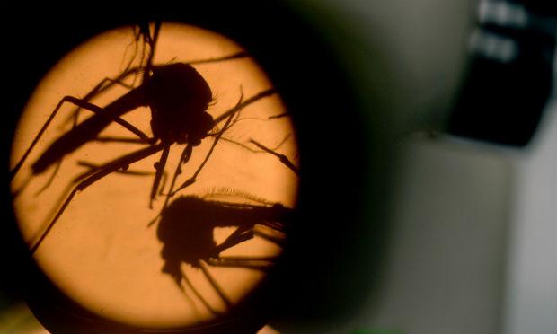 Desde o dia 1º deste mês, o governo federal autoriza a entrada forçada de agentes públicos de combate ao Aedes aegypti em imóveis públicos ou particulares que estejam abandonados ou em locais com potencial existência de focos. / Foto: Marvin Recinos / AFP