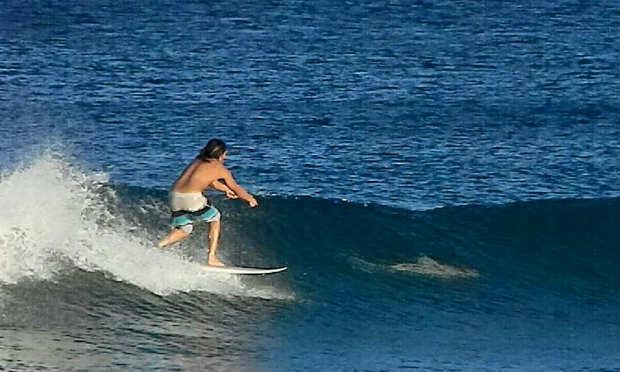 Namorada de surfista flagrou o momento em que o atleta passa próximo a um tubarão na Flórida / Foto: Reprodução/ Facebook