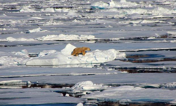 Alerta: temperatura do Ártico está 20 graus Celsius acima do esperado