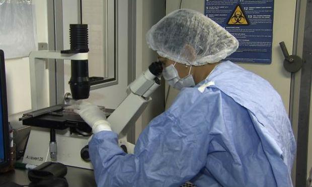 Pesquisadores fazem o sequenciamento do genoma do vírus Zika / Foto: Reprodução/TV Brasil