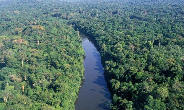 Povos pré-colombianos foram os primeiros a alterar a flora amazônica