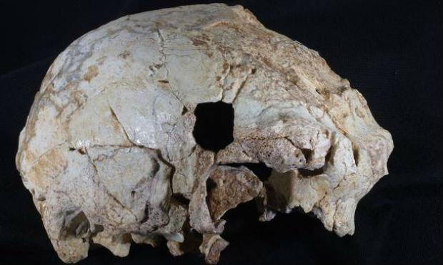 O crânio é o primeiro dessa idade encontrado em Aroeira, cerca de 25 quilômetros ao sul de Lisboa / Foto: Rolf Quam