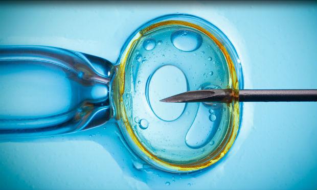 O Reino Unido se tornou, no ano passado, o primeiro país do mundo a oferecer a técnica de fertilidade / Foto: Reprodução