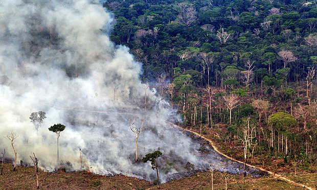 A participação da perda da floresta dentro de UCs em relação ao desmatamento total da Amazônia Legal dobrou no período / Foto: divulgação