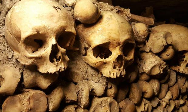 Além dos 47 crânios, foram encontrados cerca de 200 cadáveres sepultados de forma ilegal no México. / Foto: Pixabay