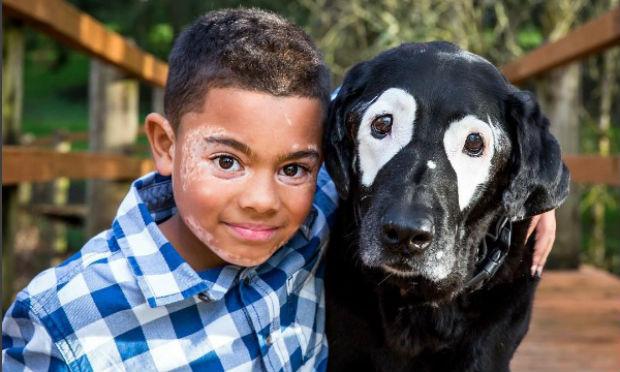 Encontro entre criança e cachorro com vitiligo só aconteceu graças à campanha na internet / Foto: reprodução/Instagram