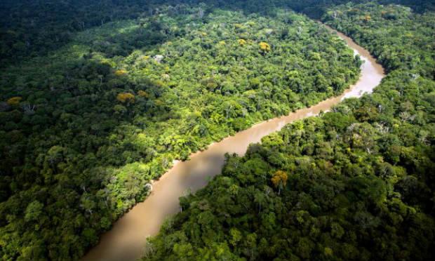 Segundo especialista, o bioma da floresta amazônica é o mais desconhecido do País / Foto: AFP