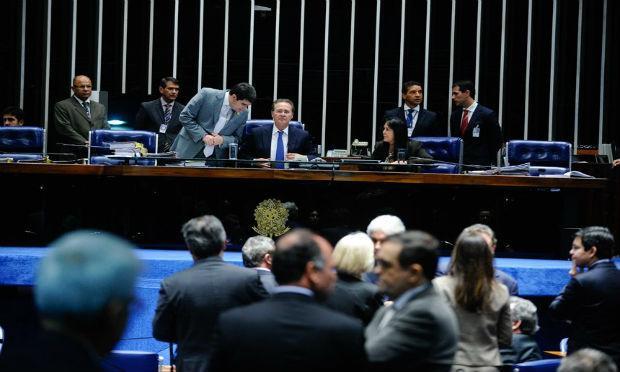 O requerimento é de autoria do líder do PMDB, Renan Calheiros (AL) e da senadora Kátia Abreu (PMDB-TO) / Foto: Agência Senado