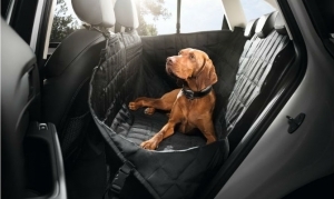 Existem diversos tipo de cinto de segurança para cães poderem andar de carro